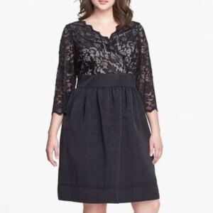 Eliza J Black and Tan Lace Dress
